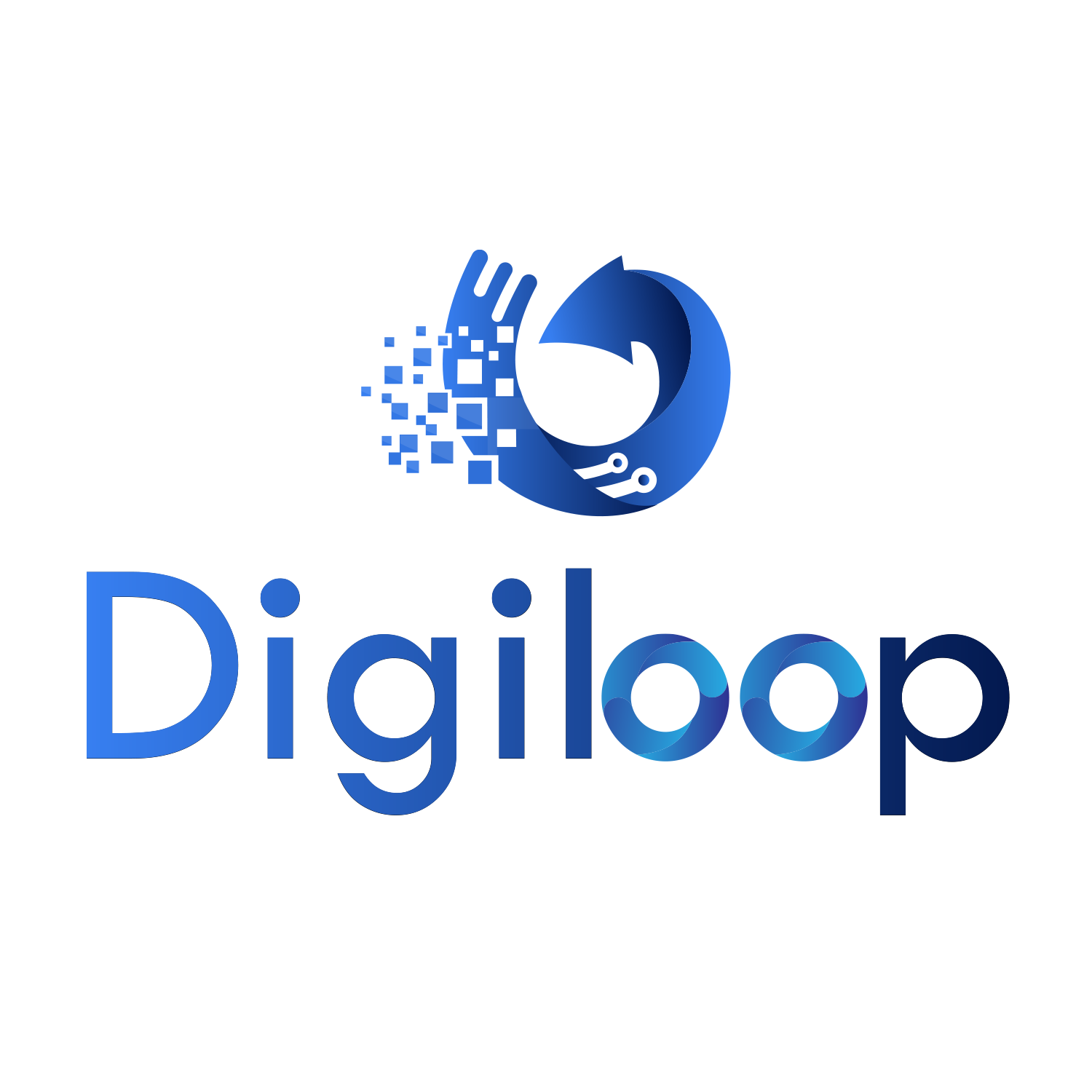 Digiloop